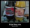 koji-ces-sok.jpg