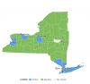 New York Primary Election Results 2016   The New York Times.png