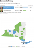 New York Primary Election Results 2016   The New York Times.png