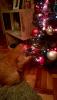 WP_20151210_19_28_11_Pro.jpg