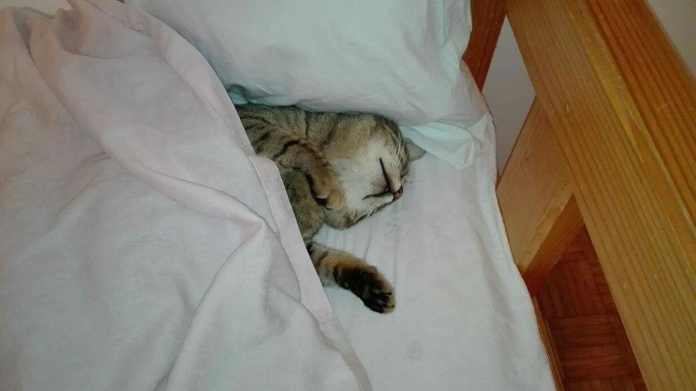 received_1565209240242822.jpeg