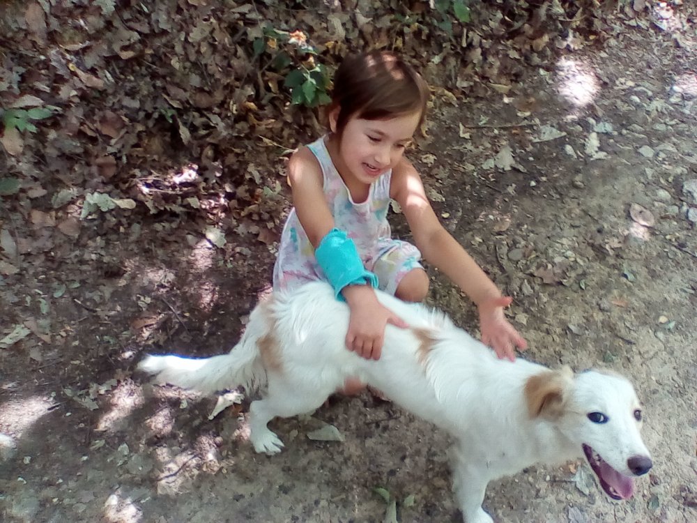 image.thumb.jpeg.e0f053b9fcc87053cb7be741f70a836c.jpeg