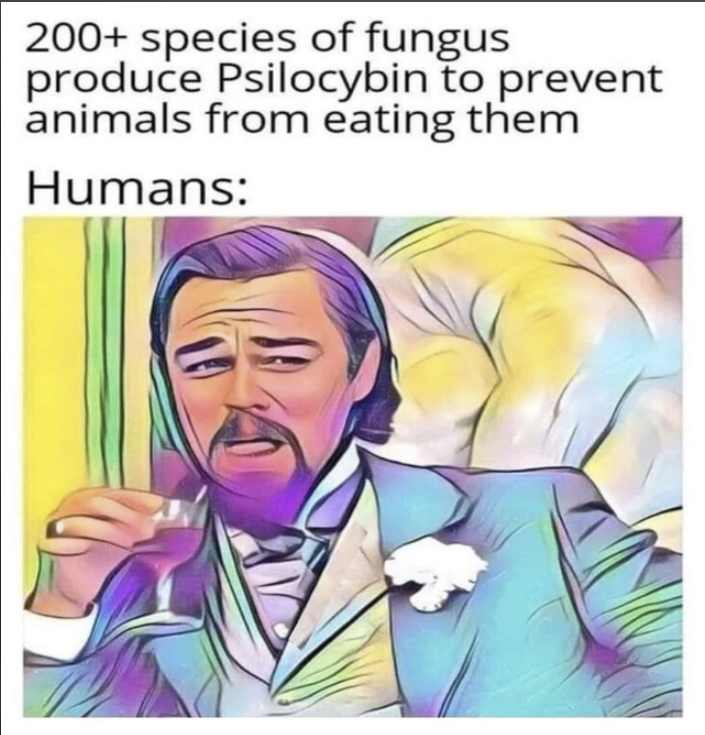 image.png.6fc3de8a73108dd4b617282f9a76e8e9.png