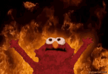 2EF620F4-F058-4D39-B679-0C7A894FC031.gif.5129cd8ff7cd09f7f6ce3a749b0d49ee.gif