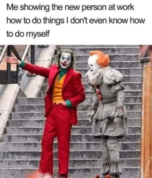 e1c707fd5bf9e17024c1e8fb554aff31_res.thumb.jpeg.6f5bddad4d59c53818e0a49139a940de.jpeg