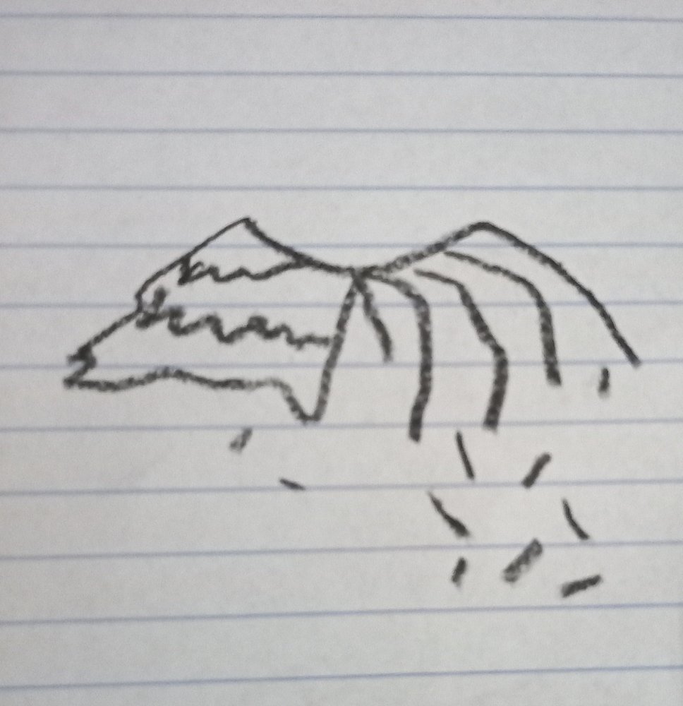 20241206_023309.thumb.jpg.98ceb1e406ac5a45b62d101cd84e1770.jpg