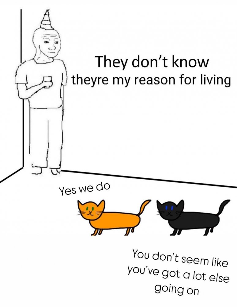 20250129_011243.thumb.jpg.1a531dab3b9b5b7f6f91b3ee1ee0981f.jpg