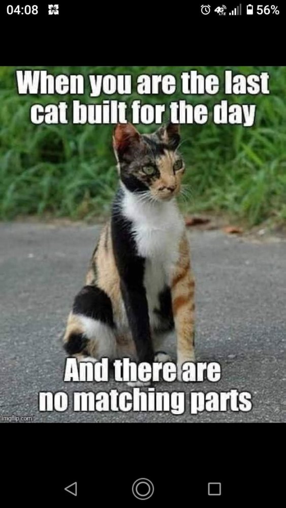 FB_IMG_1740916235783.jpg
