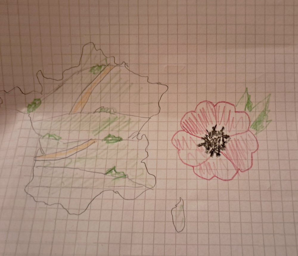 20250429_120614.jpg
