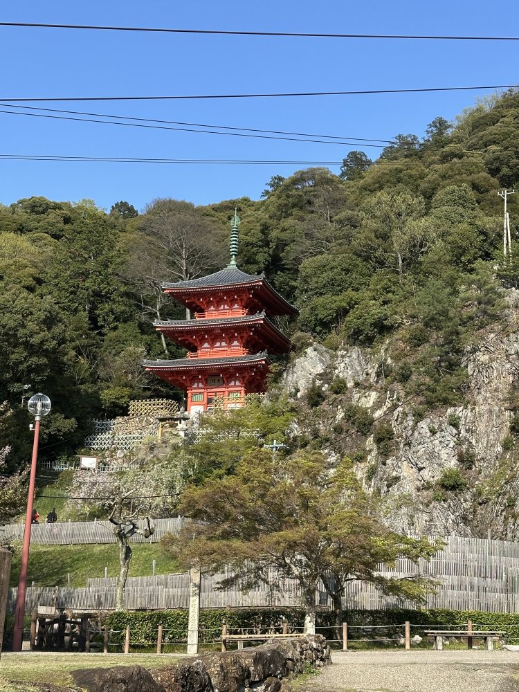 IMG_4587.jpeg
