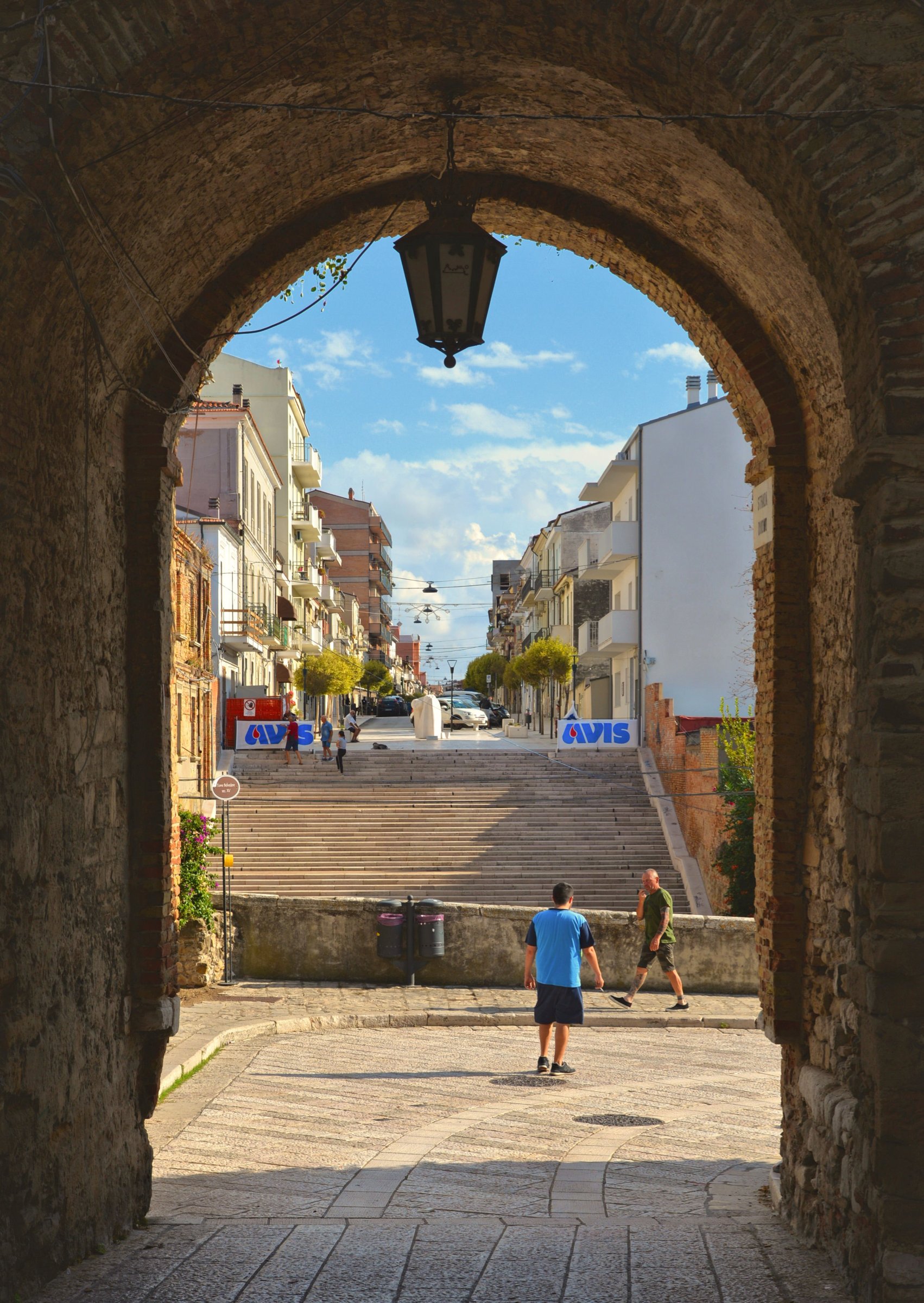 large.DSC_6504v.jpg