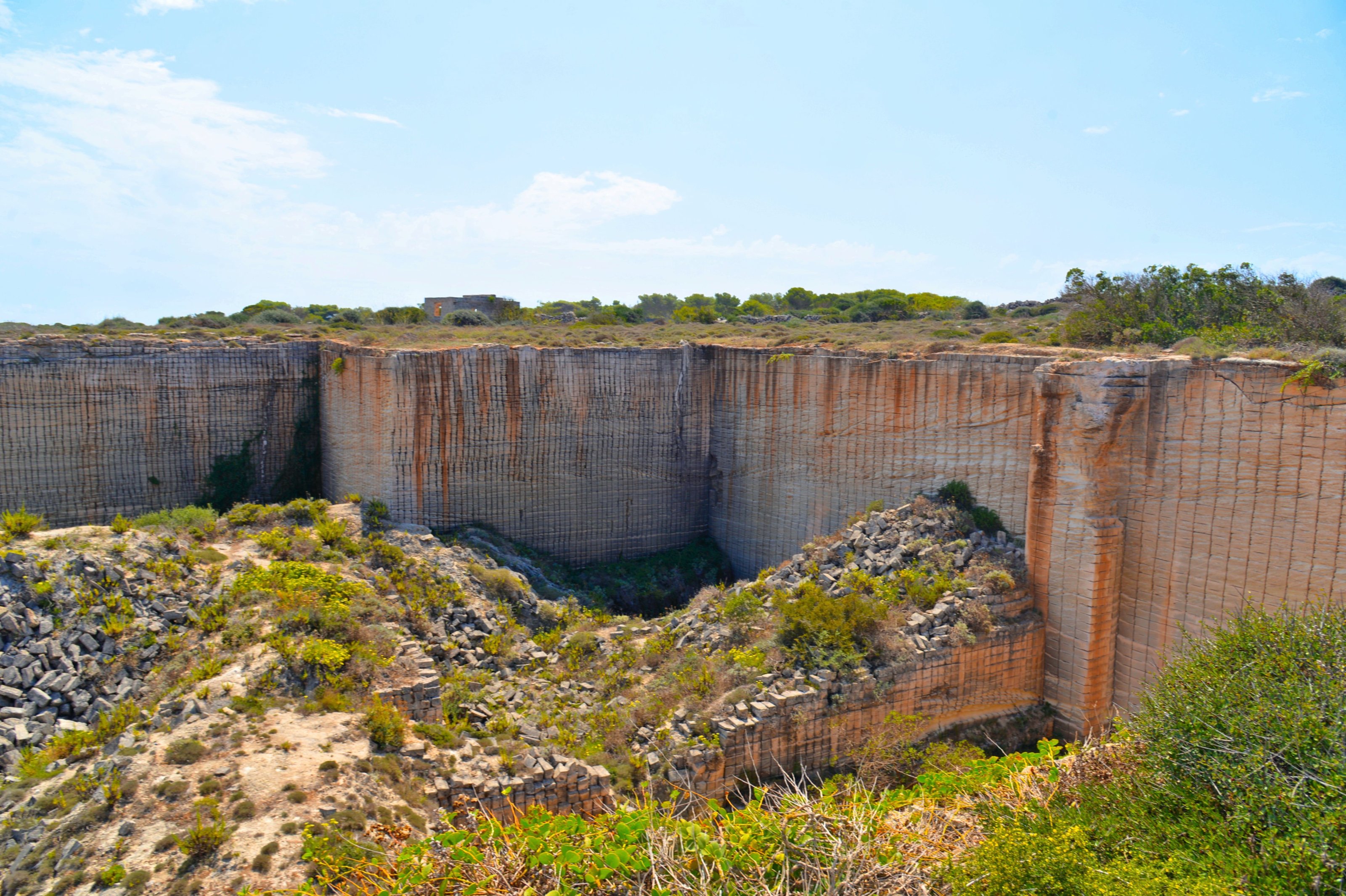 large.DSC_6888v.jpg
