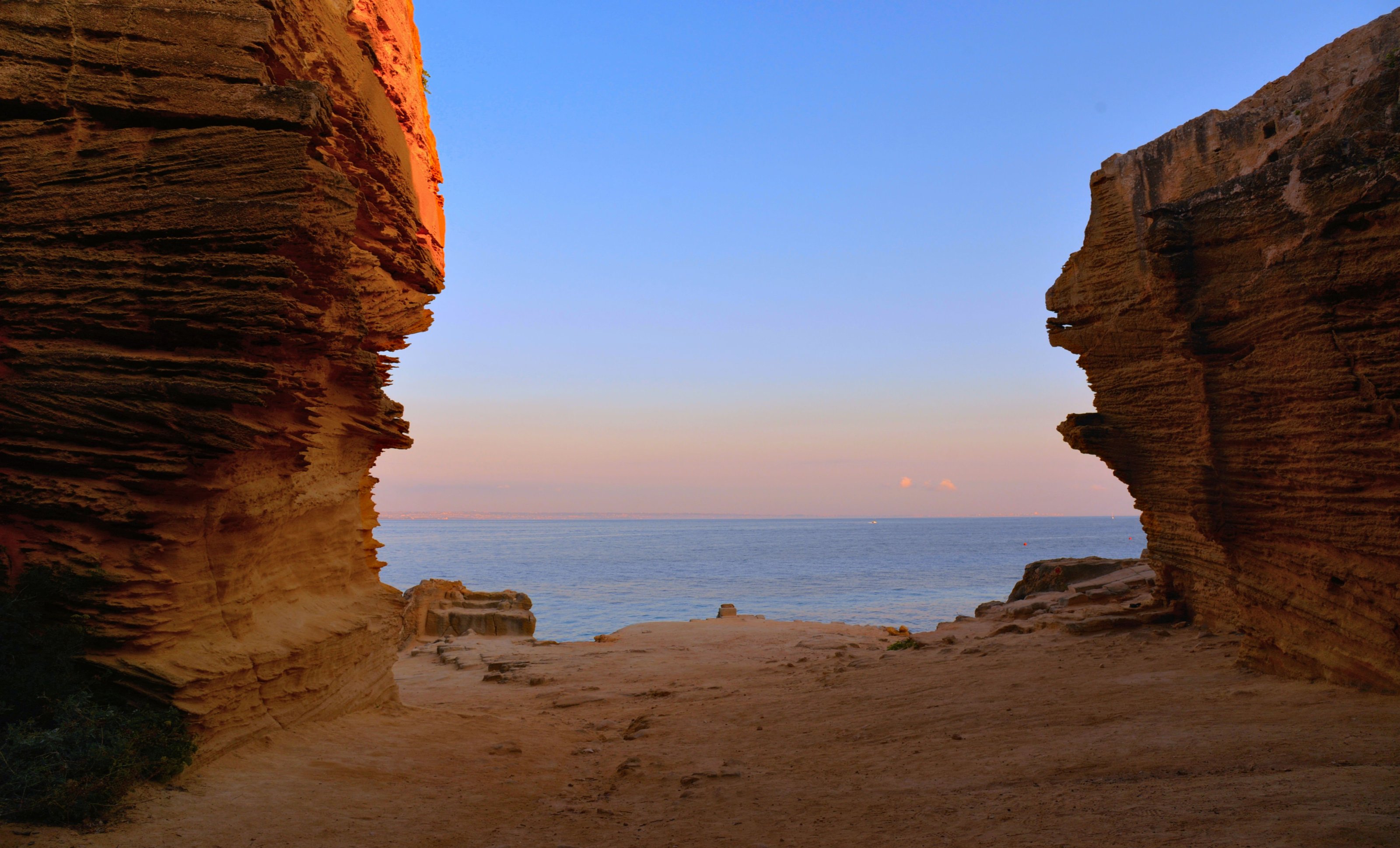 large.DSC_7102v.jpg