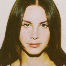 Svemir Zeka