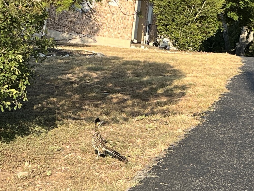 IMG_4530.jpeg