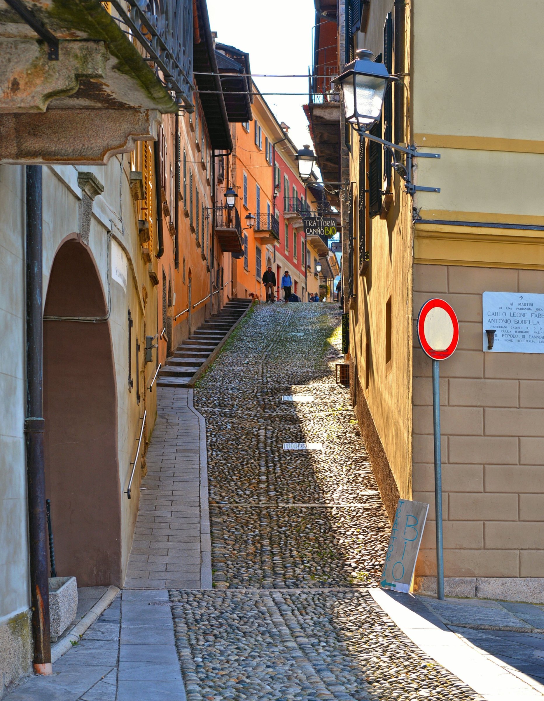 large.DSC_6177v.jpg