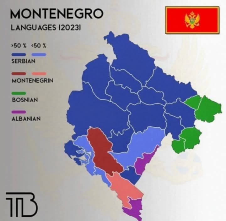 slika.png