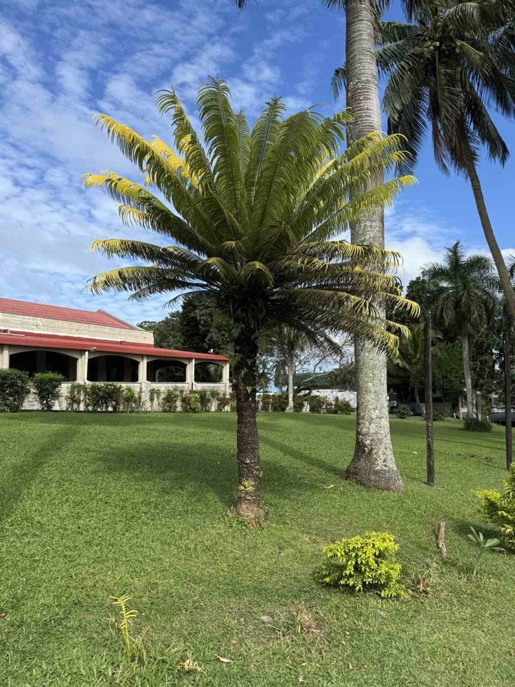 029.jpg