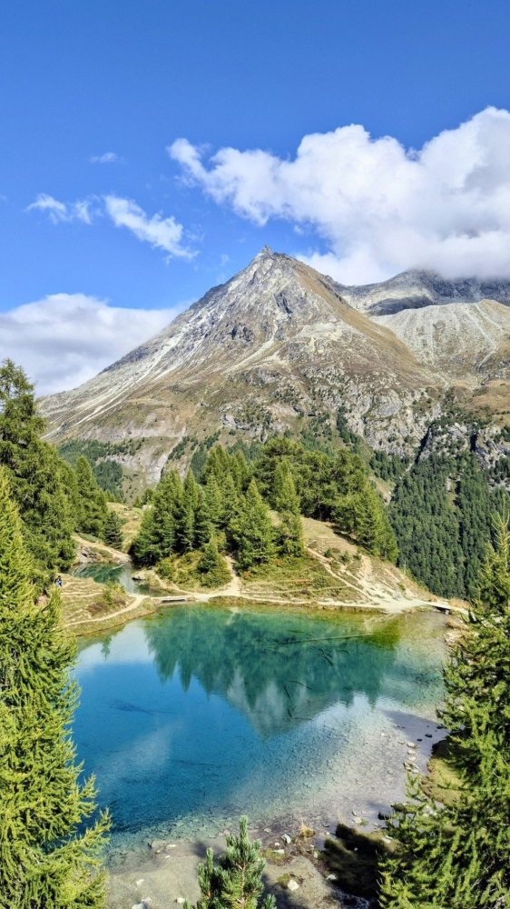 547939201_10163383437748844_2031435428527617599_n.jpg