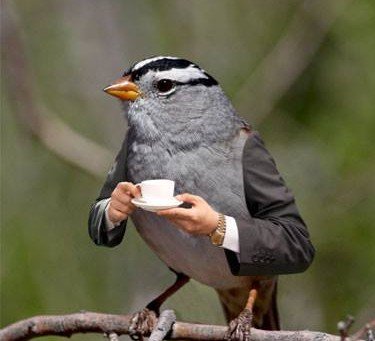CiDRPkoXIAIBfVW.jpg