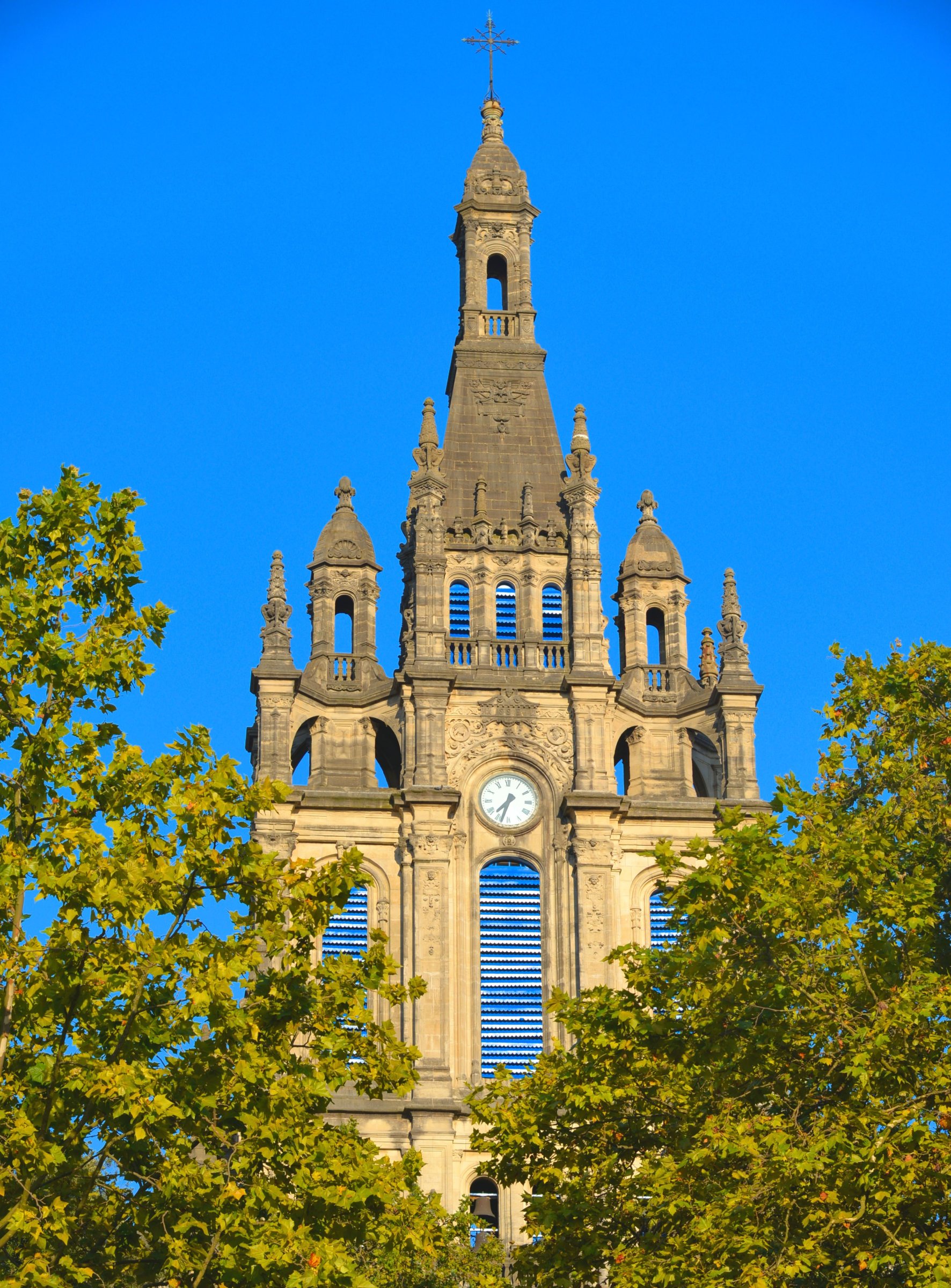 large.DSC_1081v.jpg