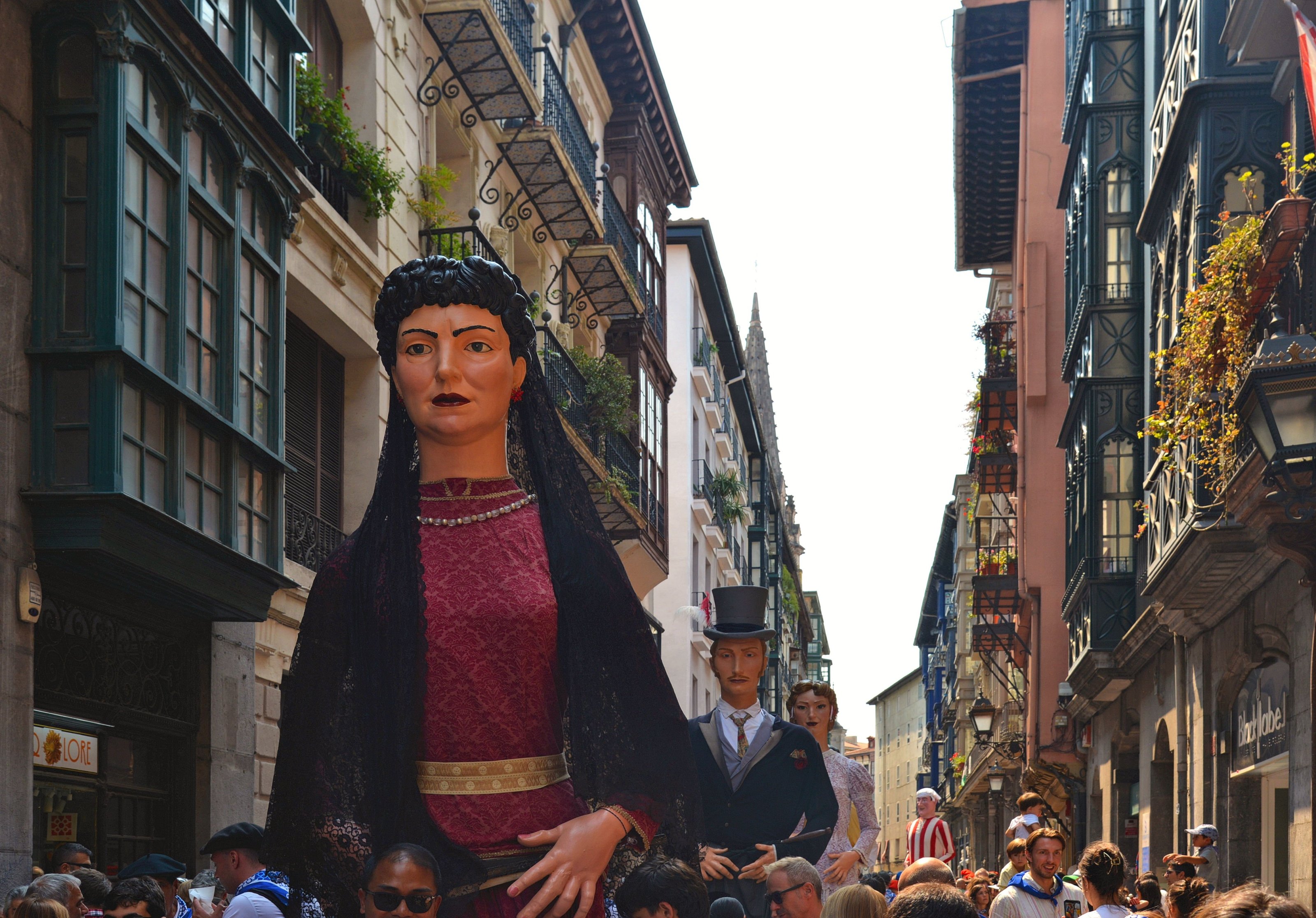 large.DSC_1215v.jpg