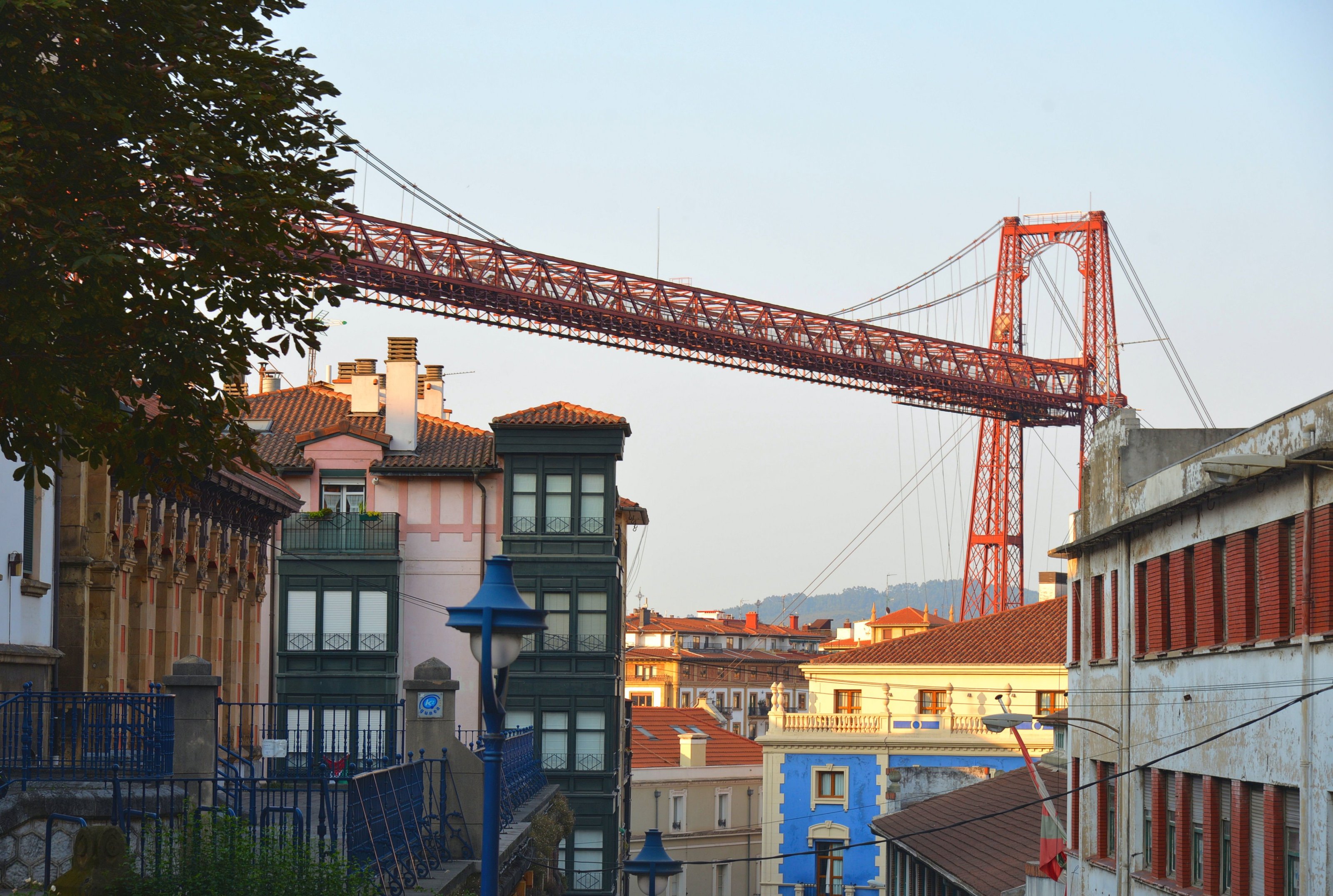 large.DSC_1433v.jpg
