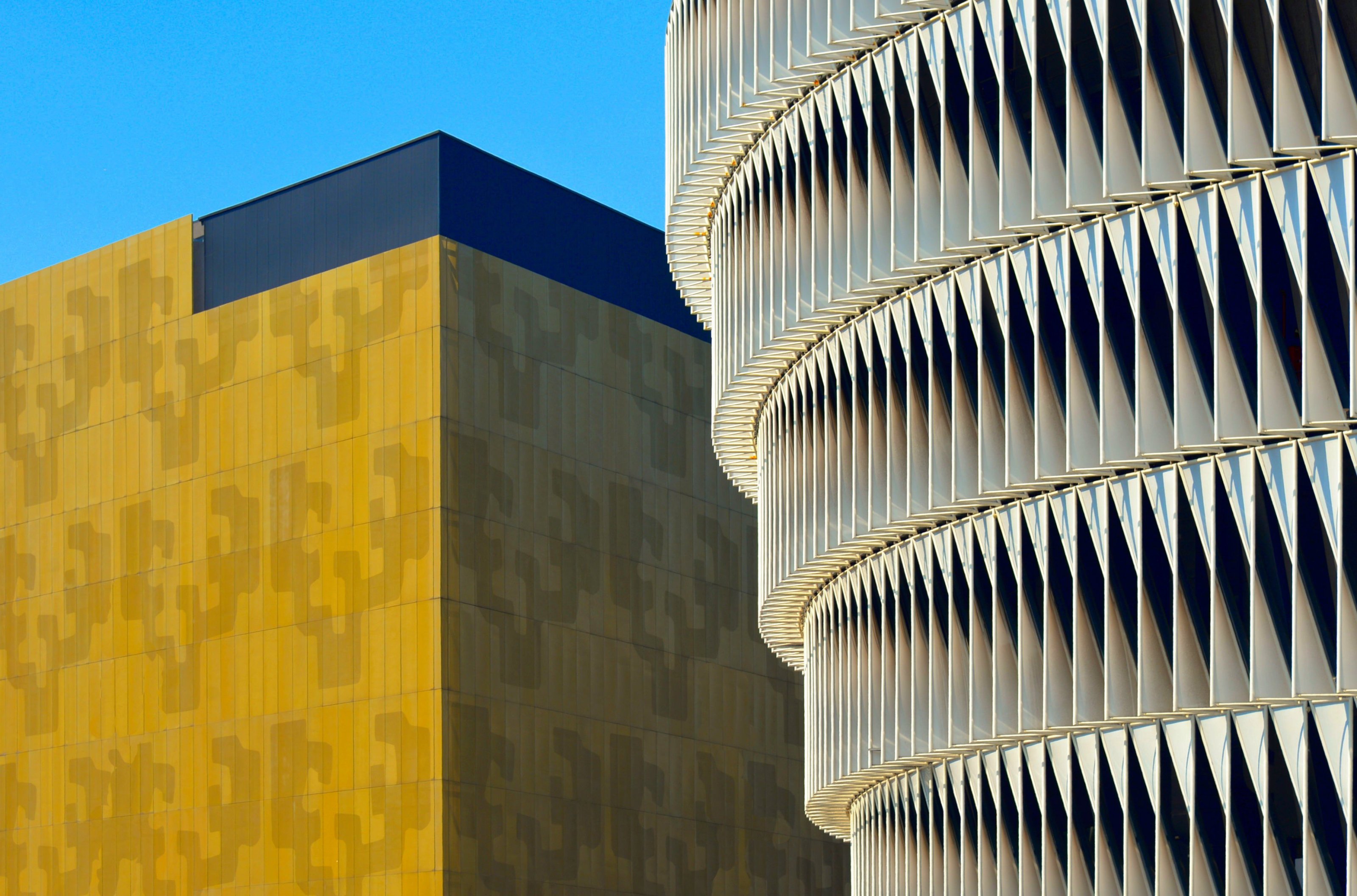 large.DSC_1669v.jpg