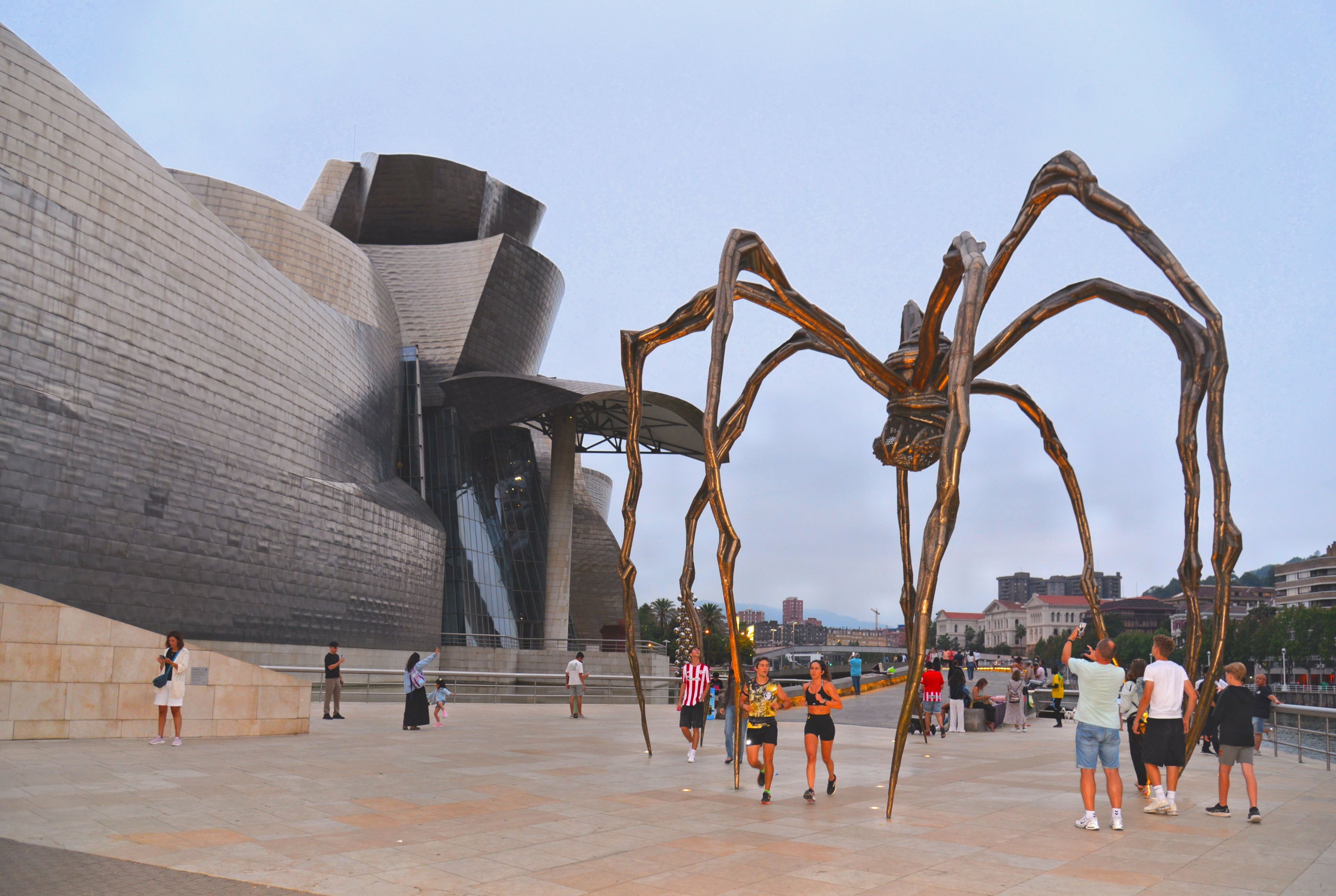 large.DSC_2168v.jpg