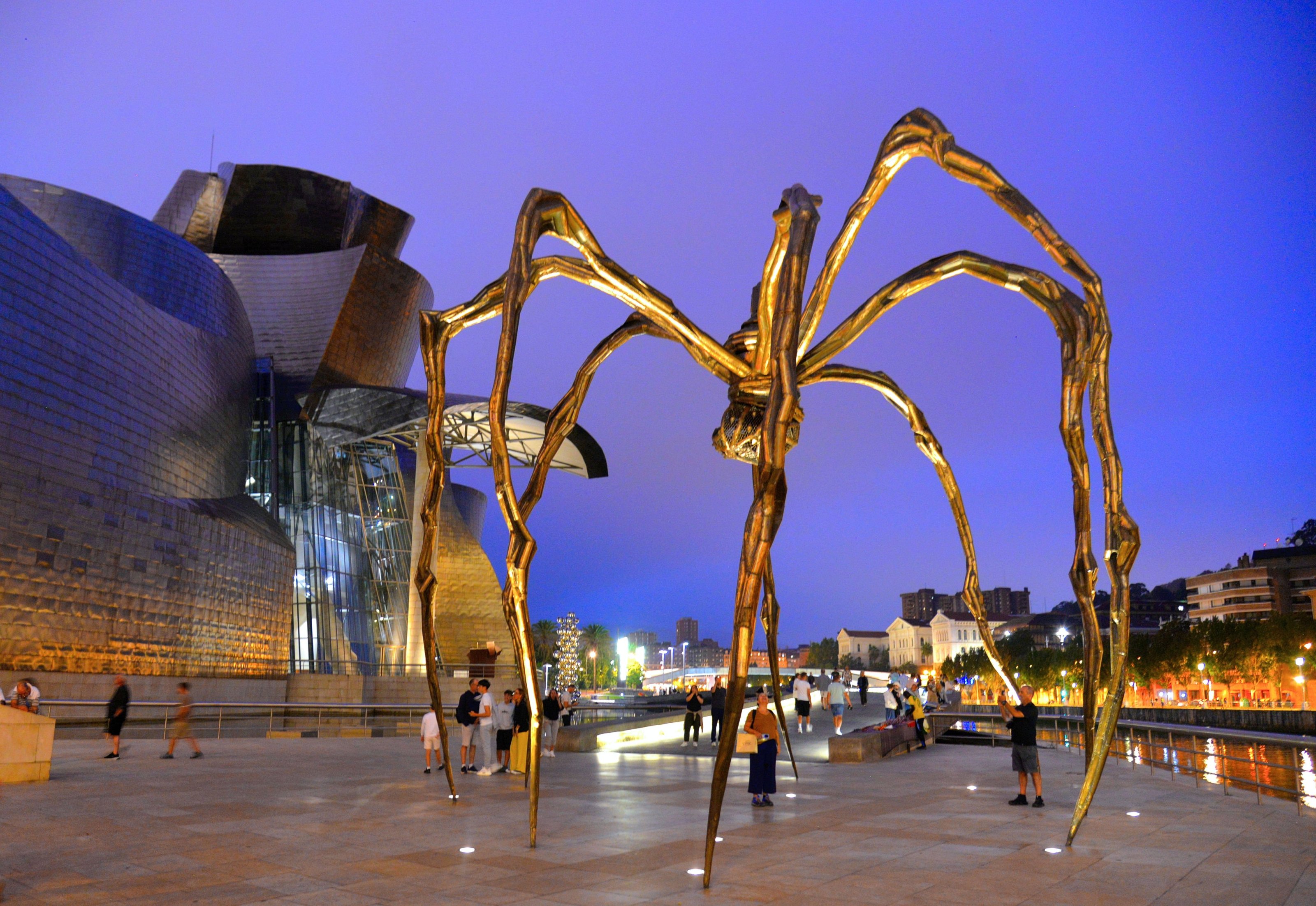 large.DSC_2211vv.jpg