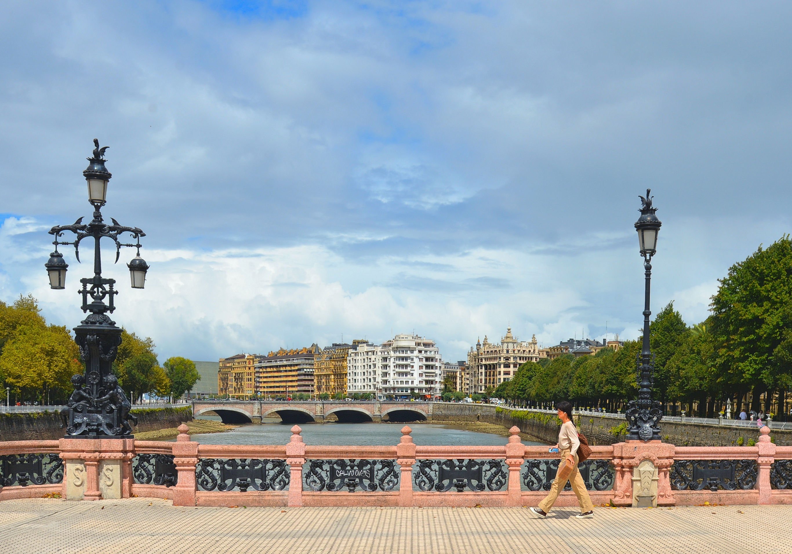 large.DSC_2676v.jpg