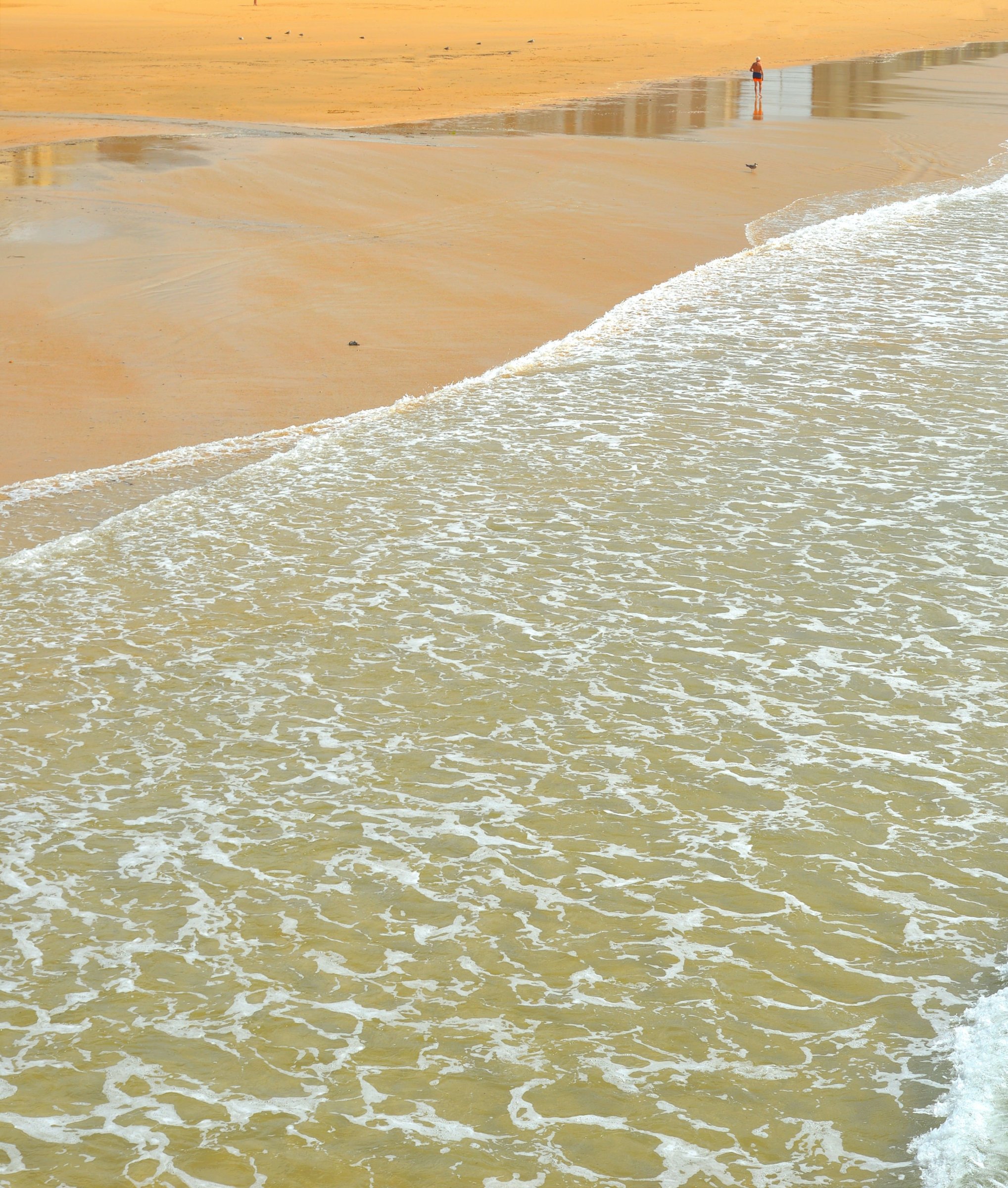 large.DSC_2995v.jpg