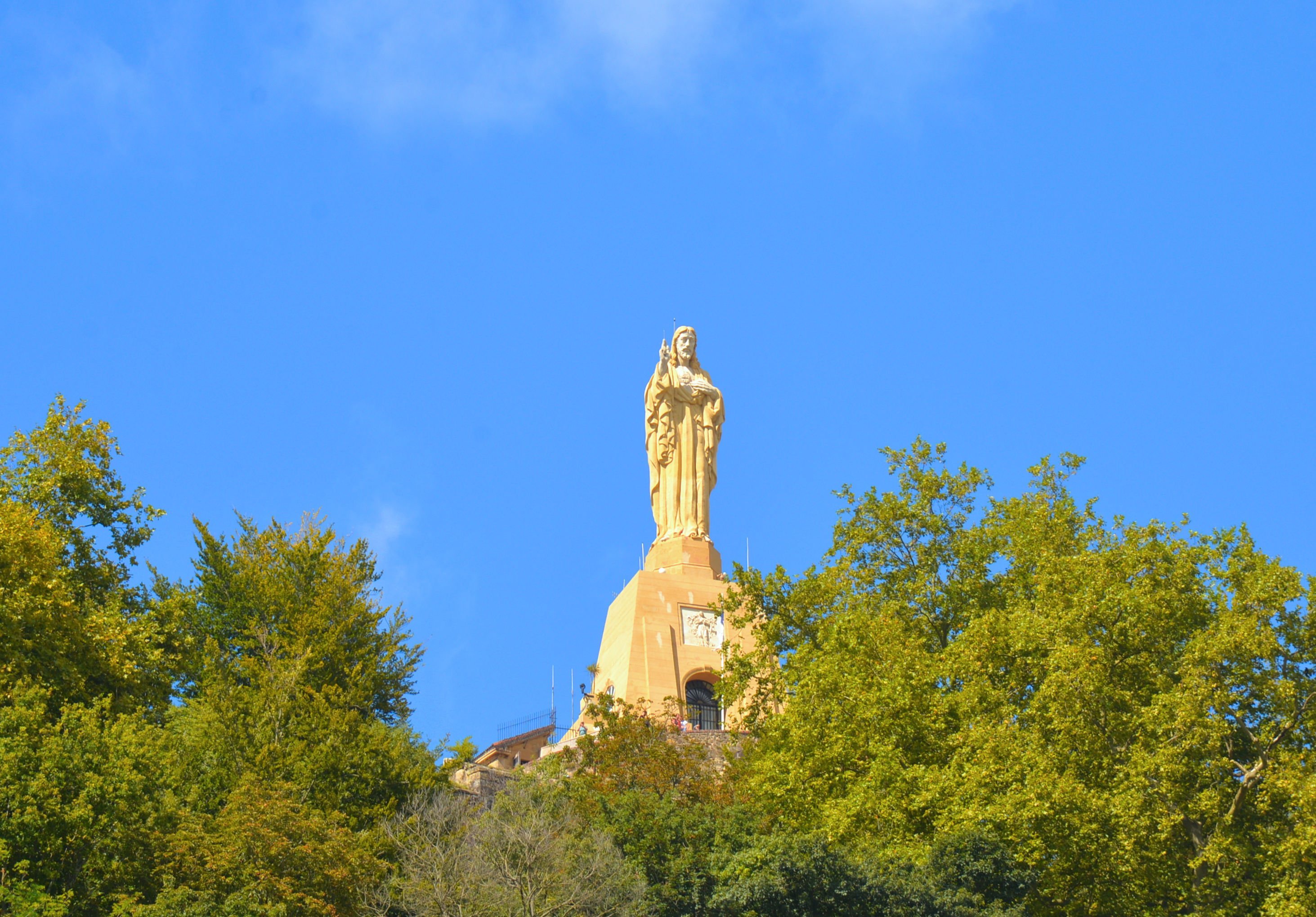 large.DSC_3049v.jpg