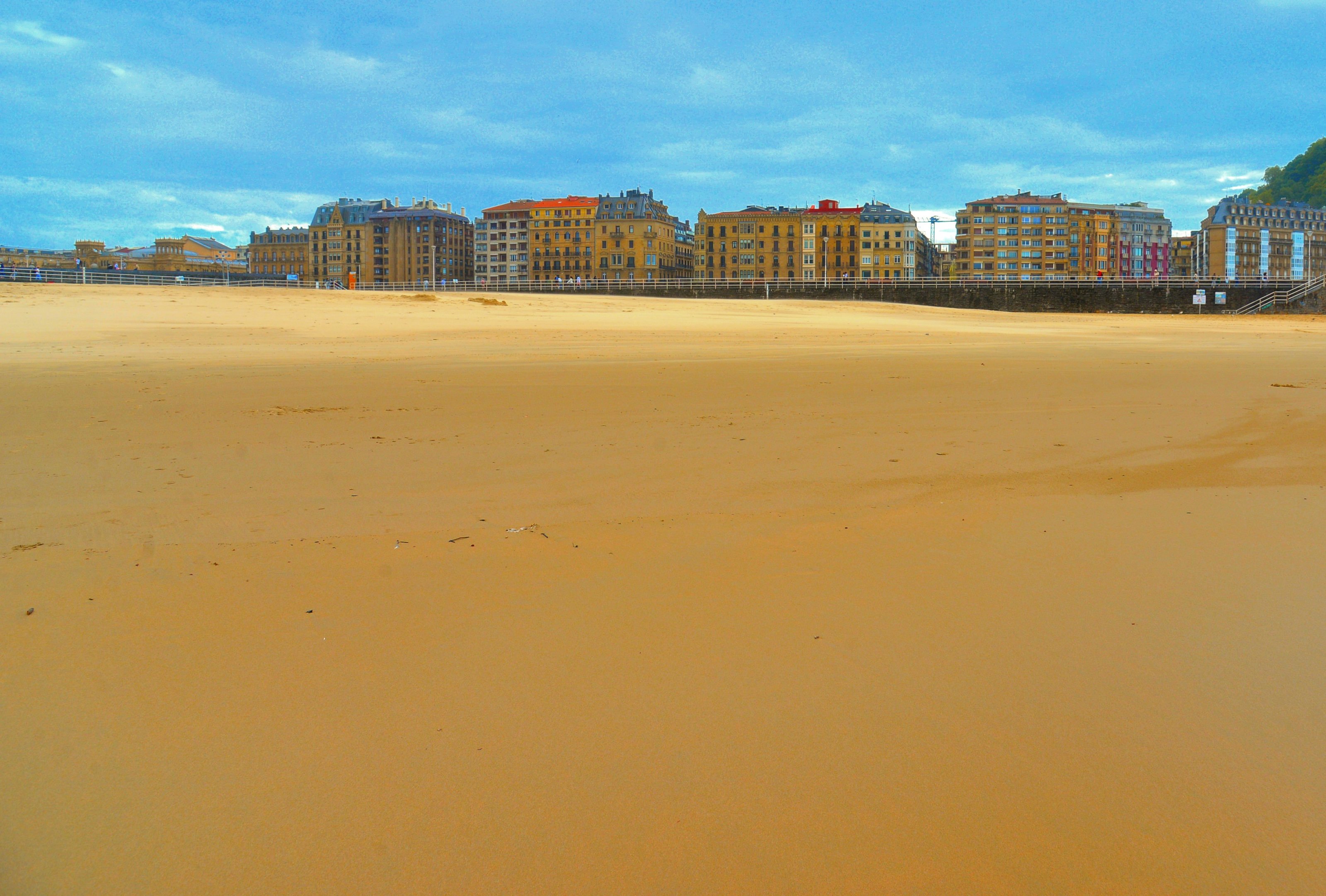 large.DSC_3476v.jpg