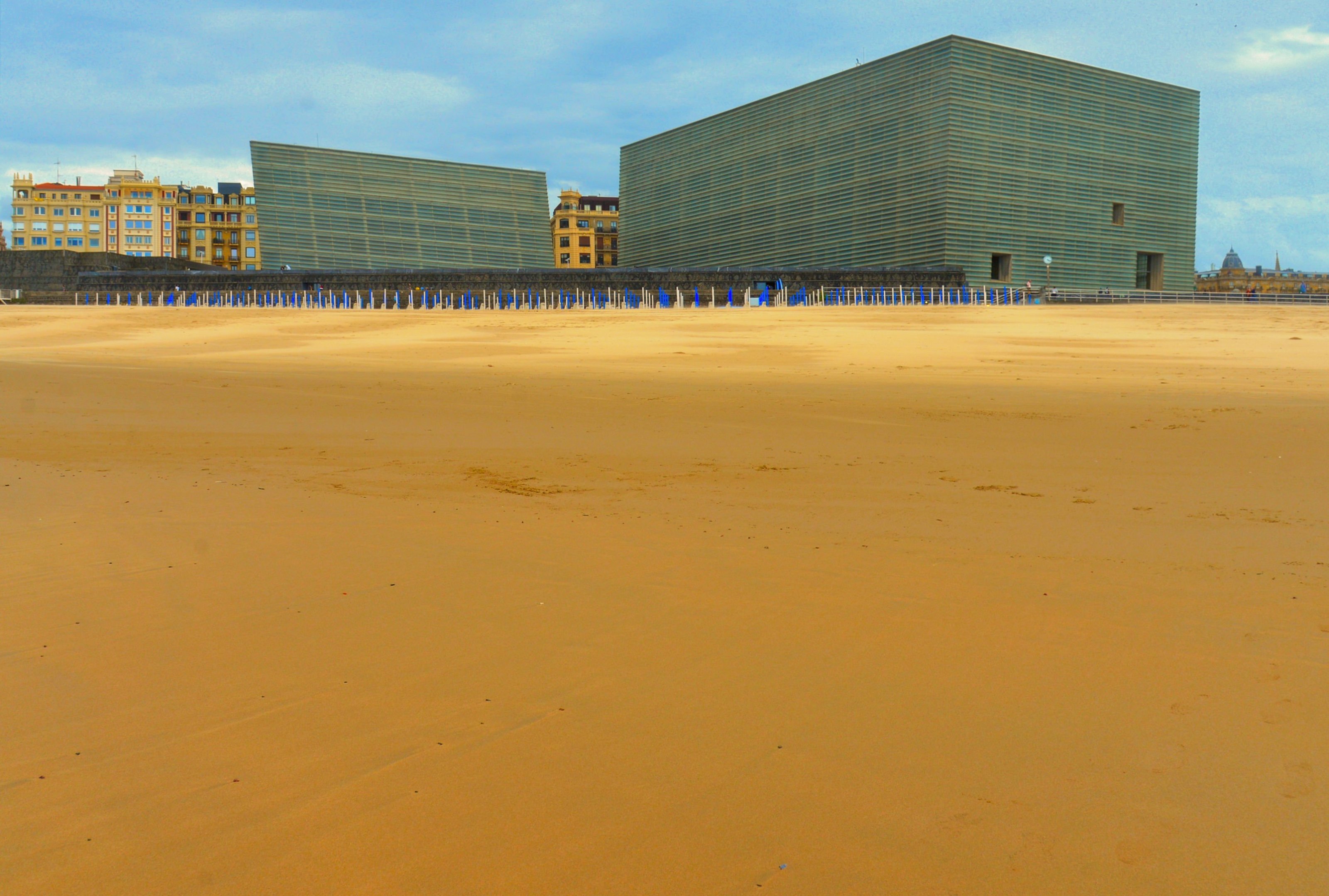 large.DSC_3477vv.jpg