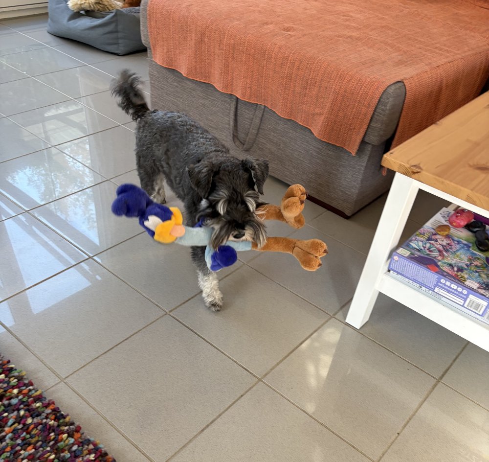 IMG_0020.jpeg