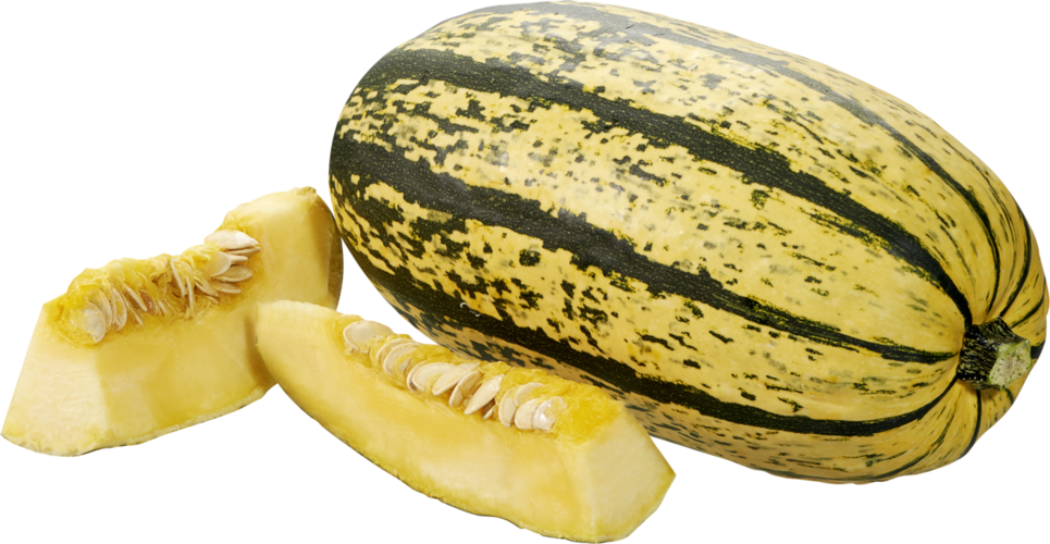 csm_Kuerbis_Spaghetti_display-png_12563155_32ccdf5399.png