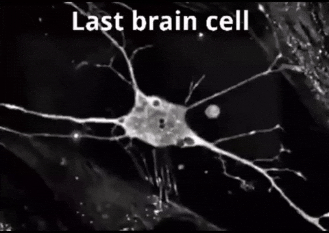 image.gif