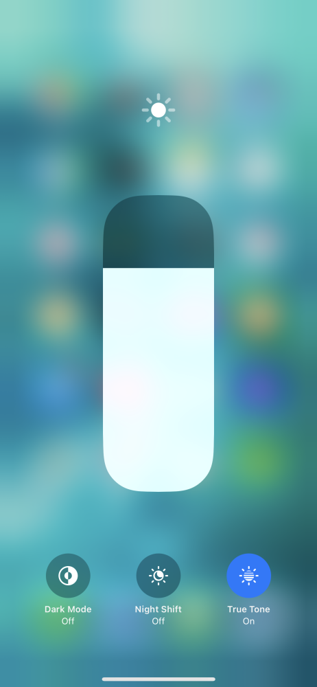 IMG_2768.png