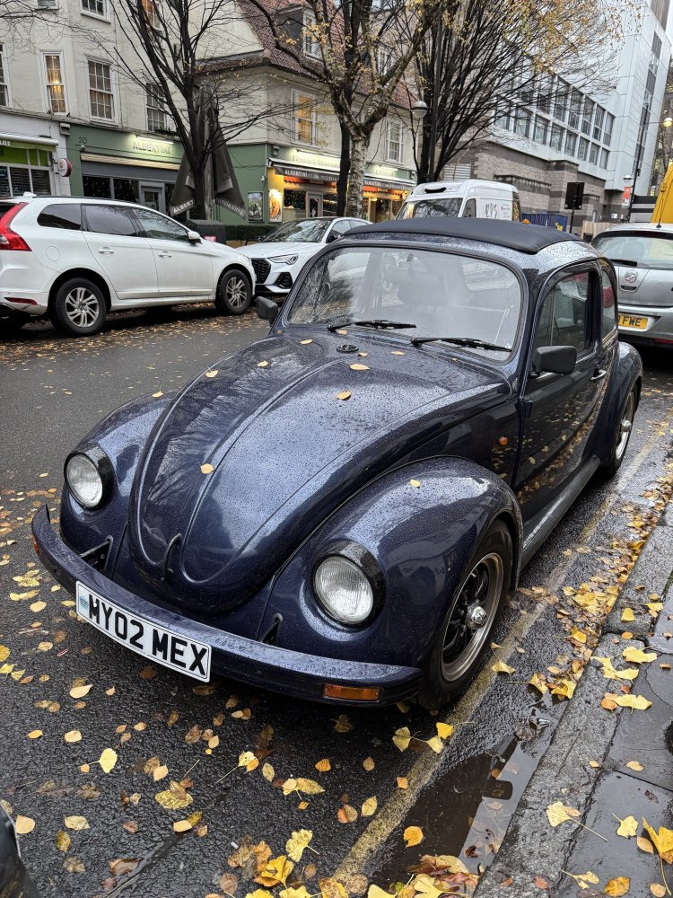 IMG_3204.jpeg