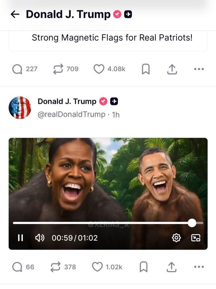 17703769599814722478054764141011.jpg