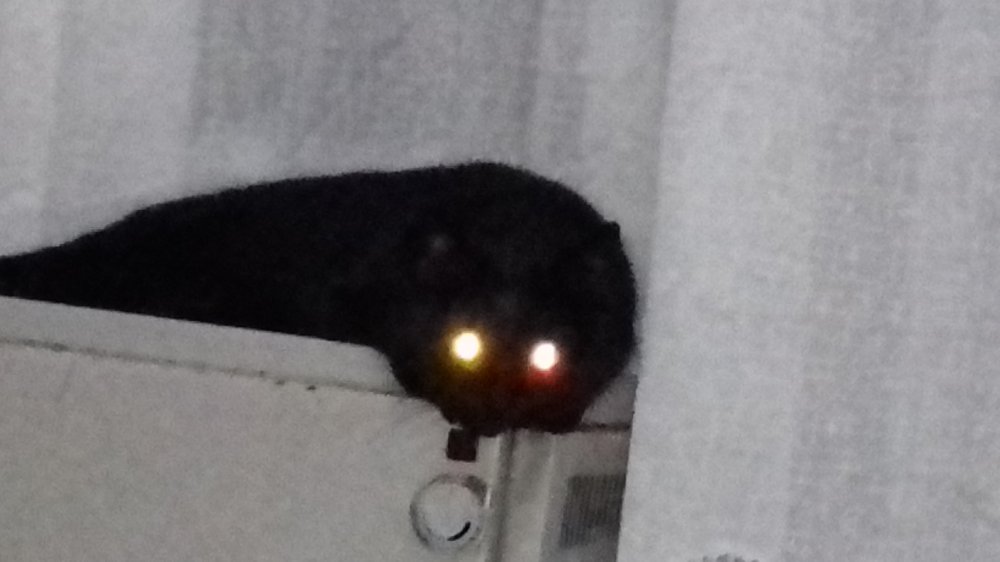 20210105_191738.jpg