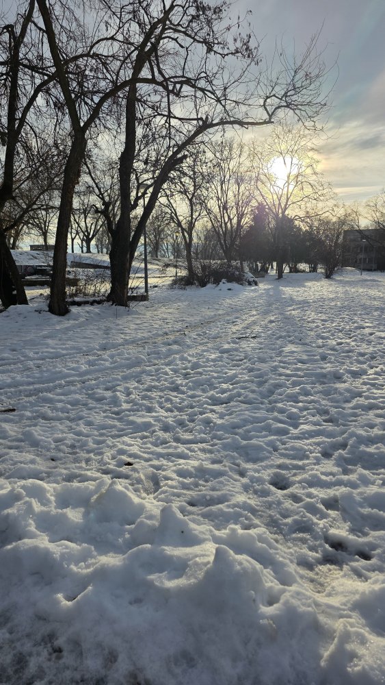 20260114_150120.jpg