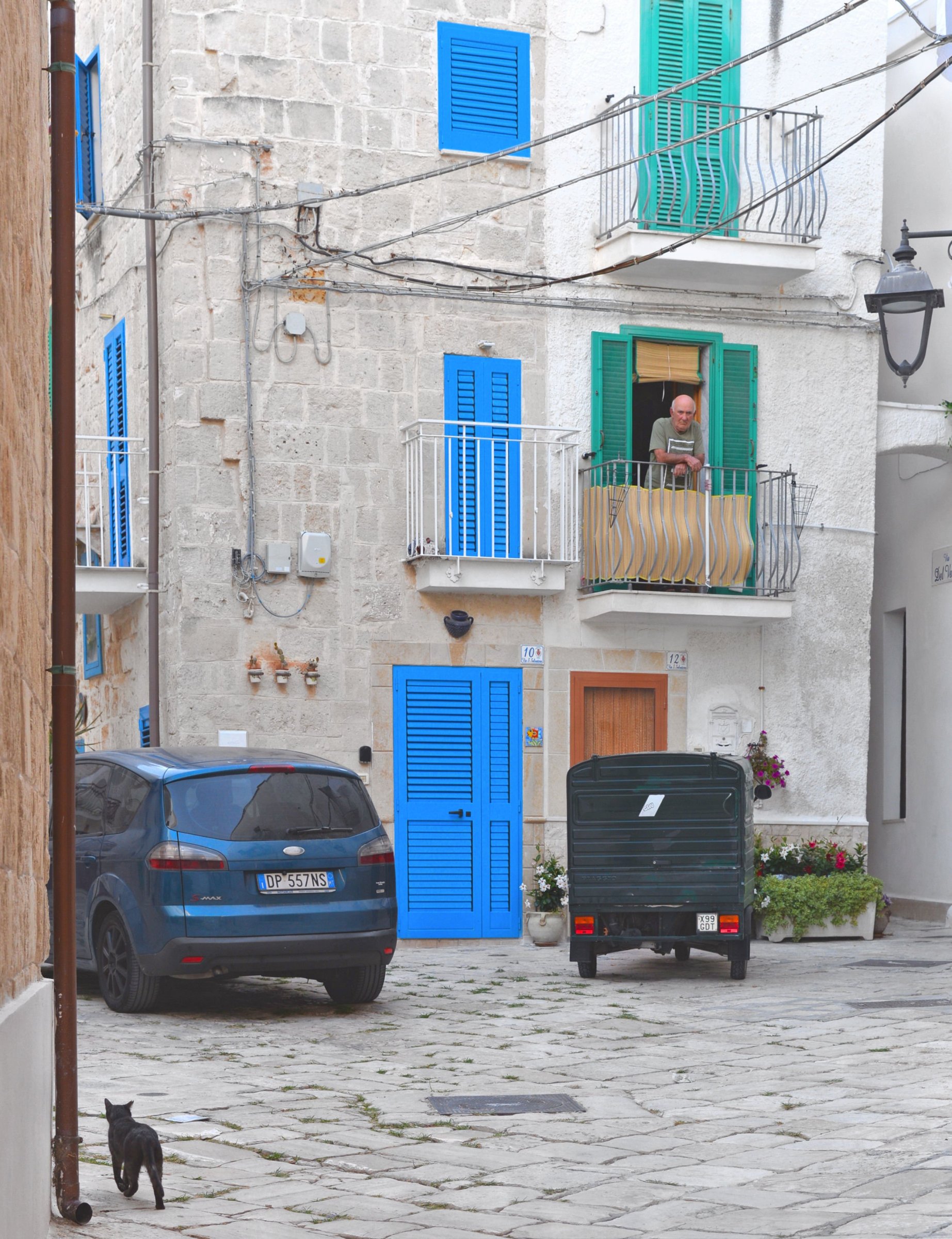 large.DSC_5116v.jpg