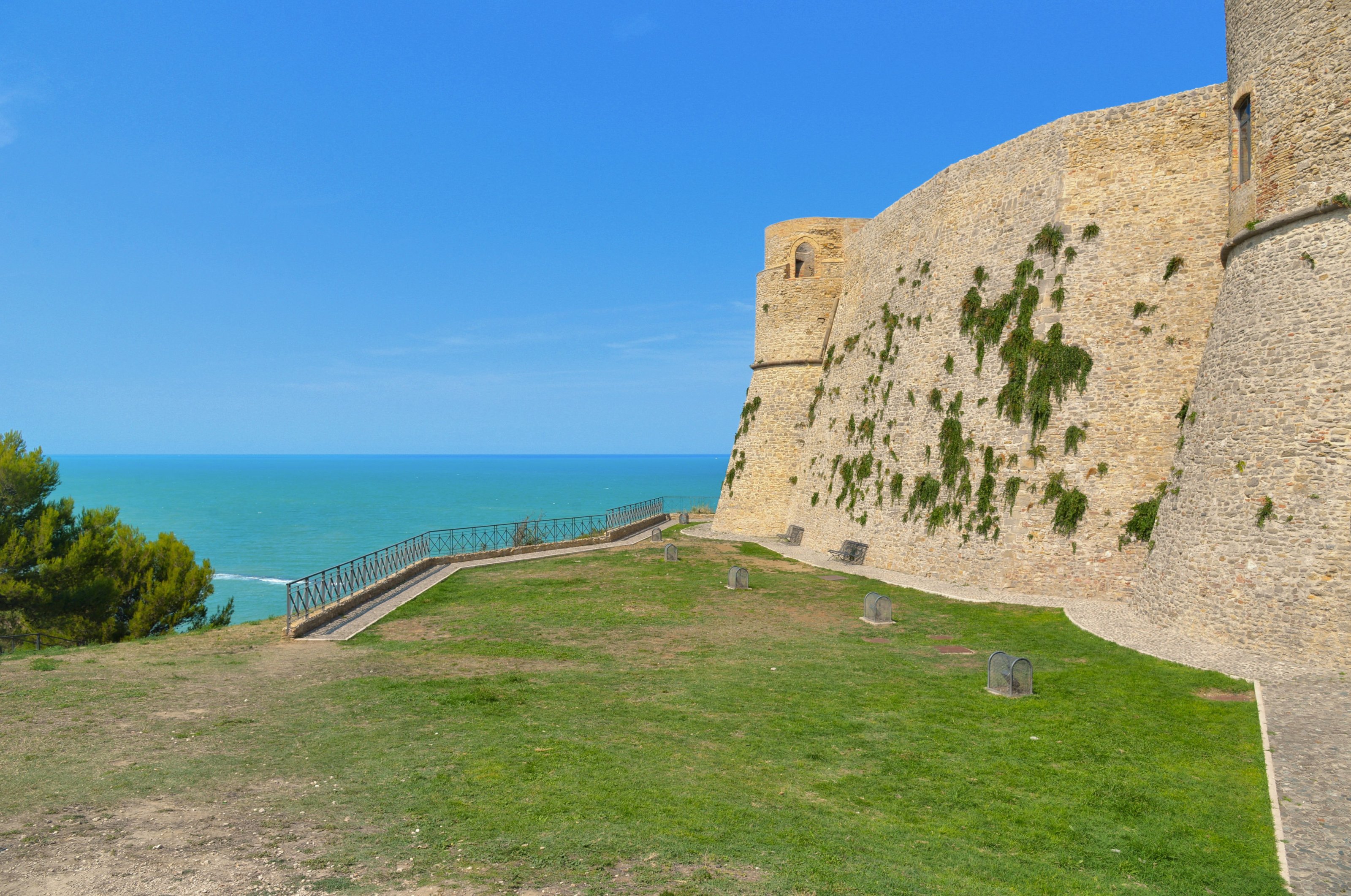 large.DSC_5831v.jpg
