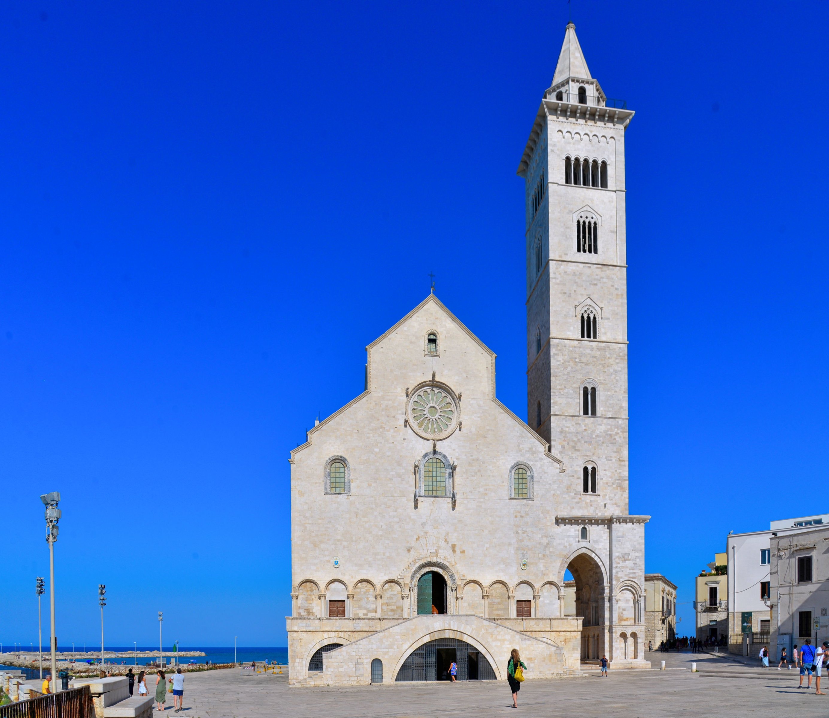 large.DSC_7334v.jpg