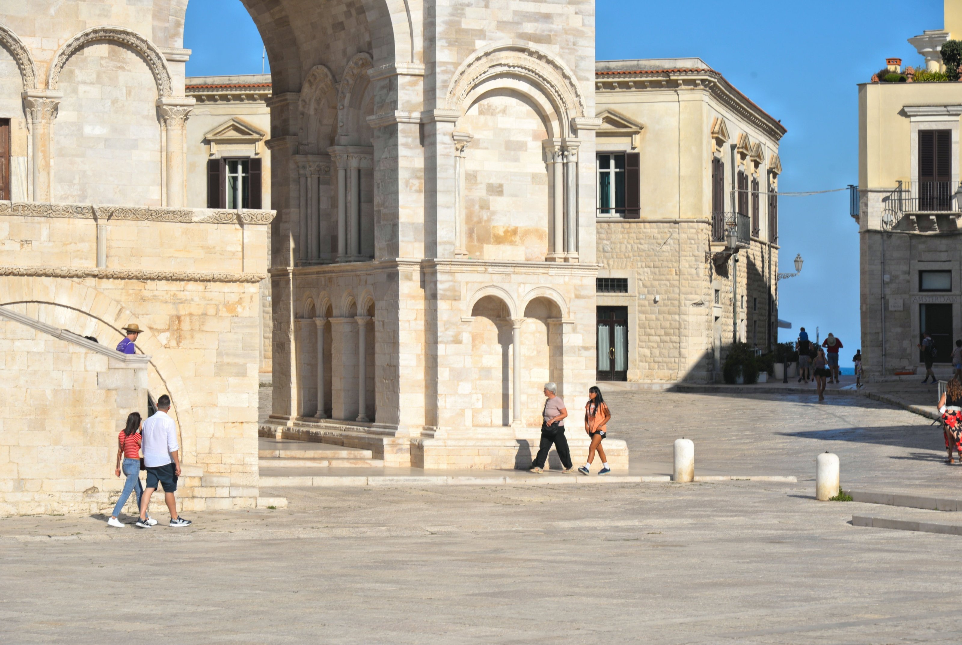 large.DSC_7358v.jpg