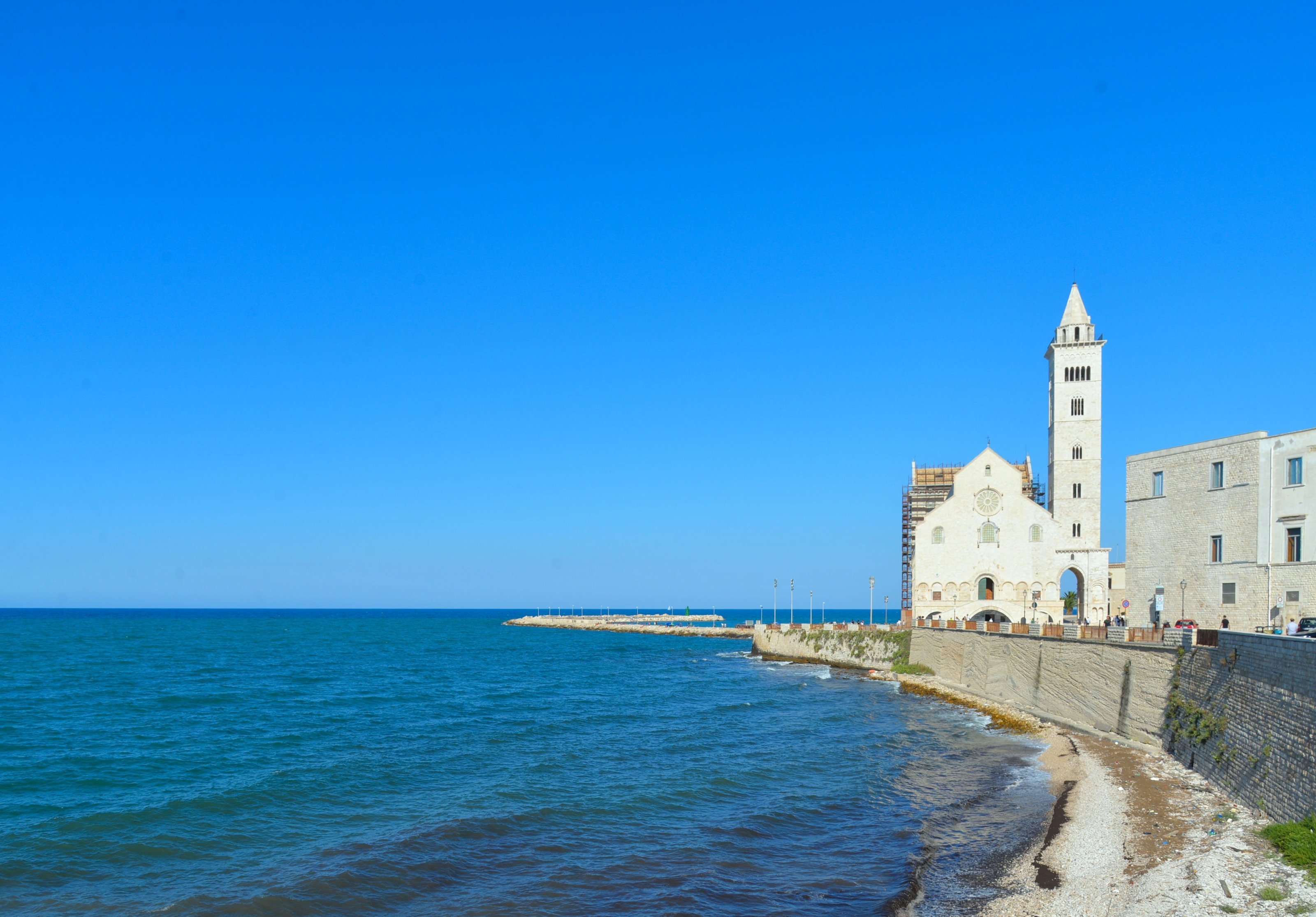 large.DSC_7373v.jpg