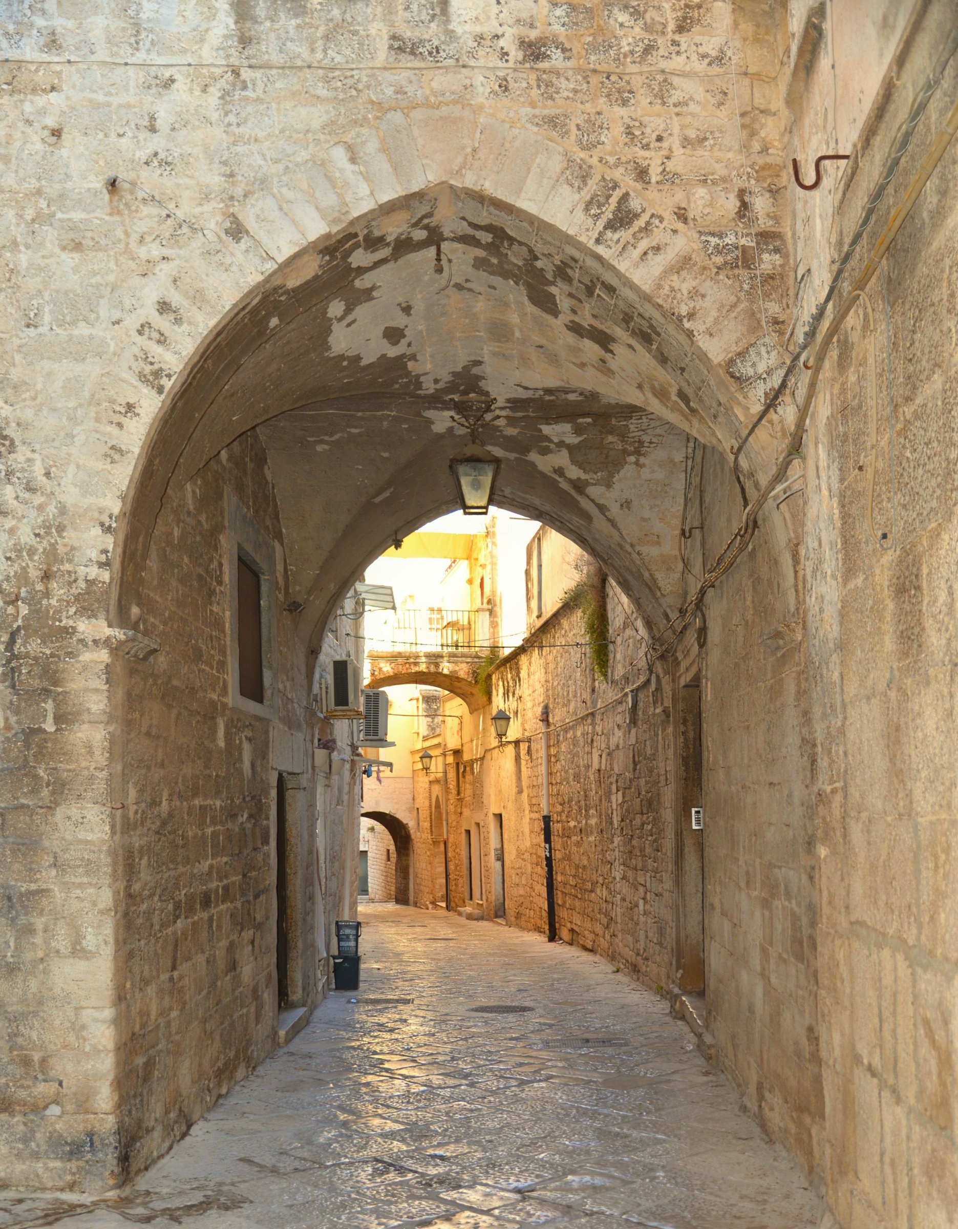 large.DSC_7460v.jpg