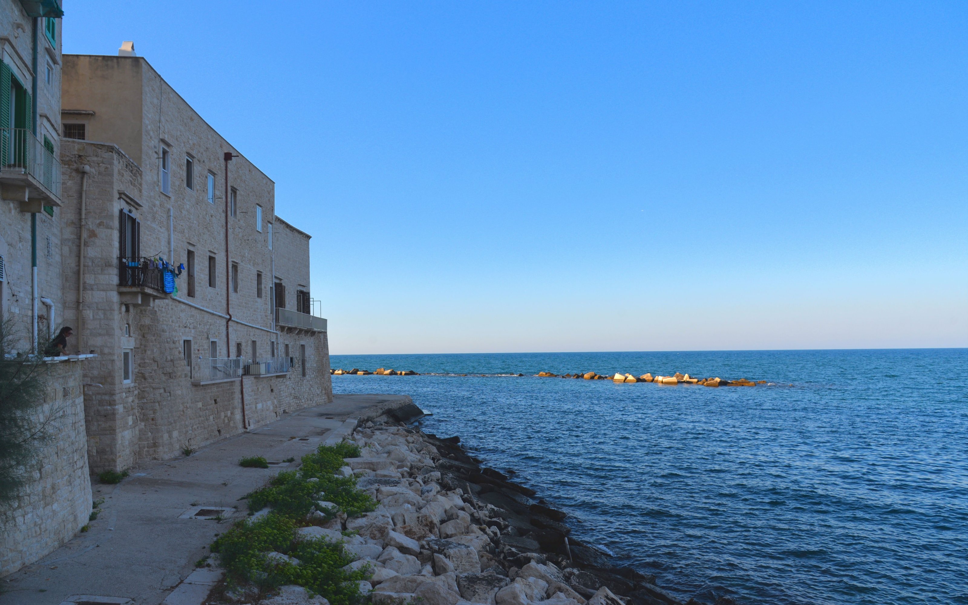 large.DSC_7492v.jpg